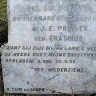 PRELLER Josephus v.N. N. 1880-1908