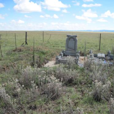 Free State, PARYS district, Vlensburg 155, farm cemetery_3