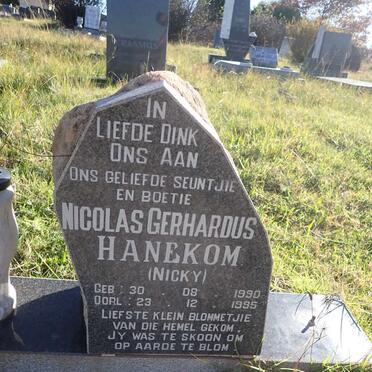 HANEKOM Nicolas Gerhardus 1990-1995