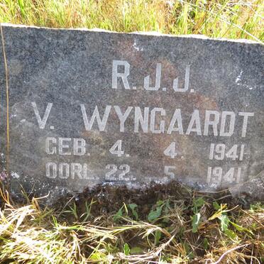 WYNGAARDT R.J.J., van 1941-1941