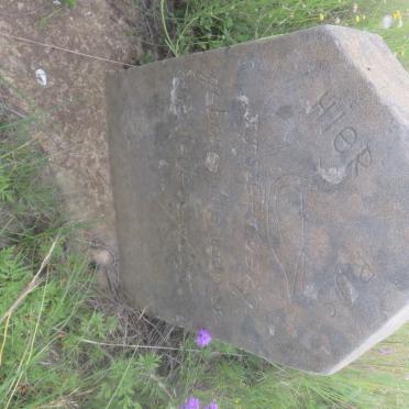 STEENBERG J.J. 1850-1934