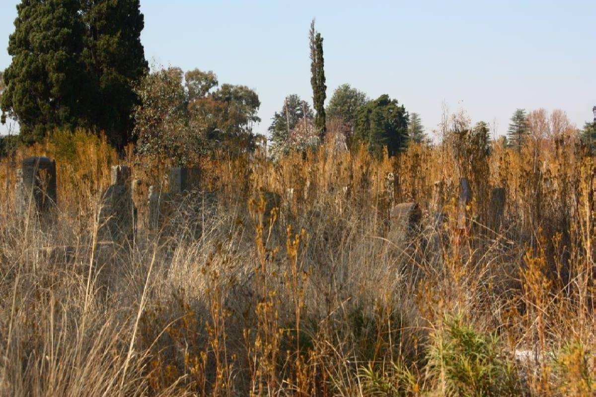 4. Oorsig / Overview