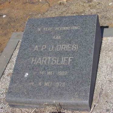 HARTSLIEF A.P.J. 1902-1978