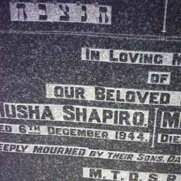 SHAPIRO Michael -1944 &amp; Musha  -1944