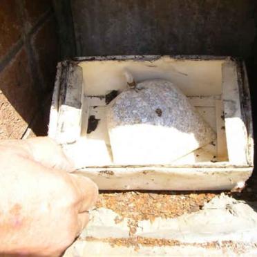 KLEYNHANS Ernst Lodewyk 1941-1996