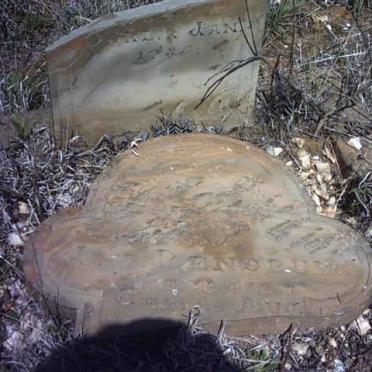 RENSBURG Johanna M. J.,van, nee VISAGIE 1845-1935