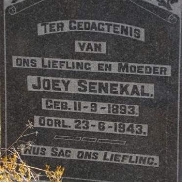 SENEKAL Joey 1893-1943