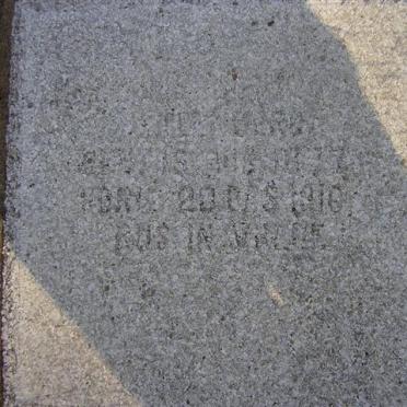 STEENBERG P? 1877-1916