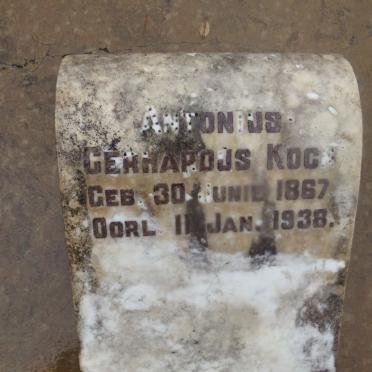 KOCK Gerhardus 1867-1938