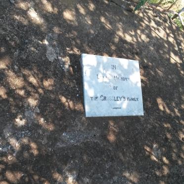 C - Surnames :: Vanne - C