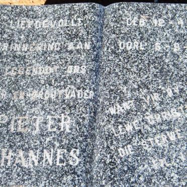 WALT Pieter Johannes, van der 1918-1986