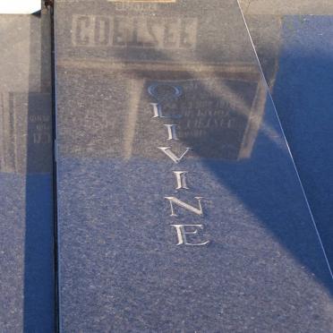 COETZEE F.D.J.S. 1868-1952 &amp; S.M. DU PLOOY 1870-1960 