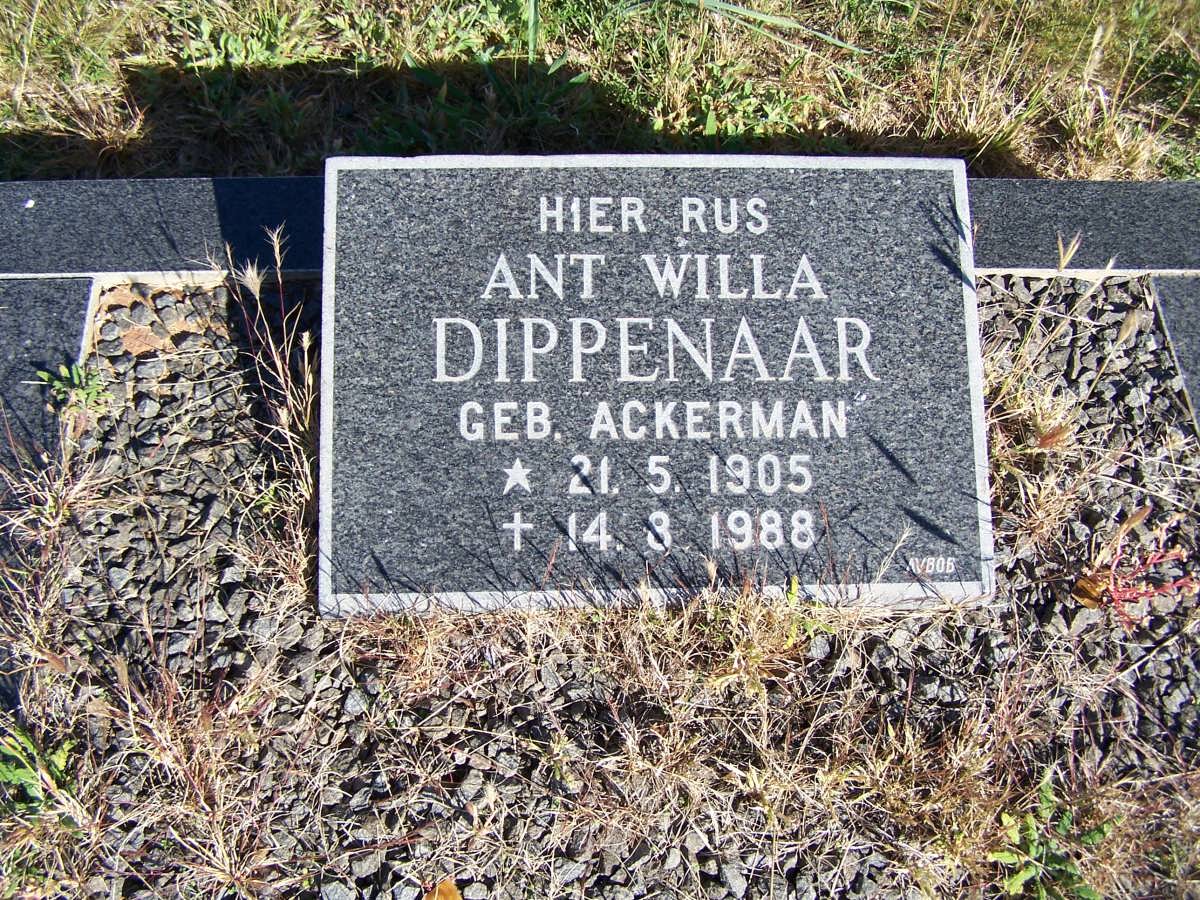 DIPPENAAR Ant Willa geb ACKERMAN 1905-1988