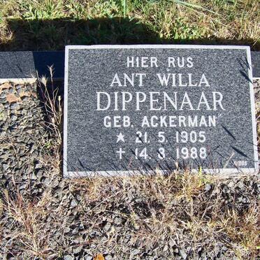 DIPPENAAR Ant Willa geb ACKERMAN 1905-1988