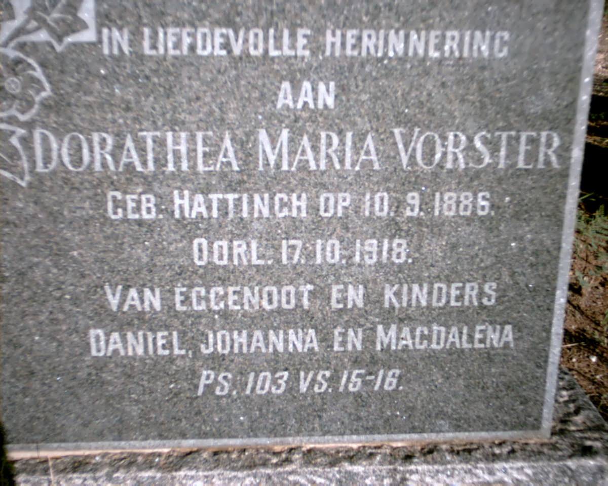 VORSTER Dorathea Maria nee HATTINGH 1886-1918