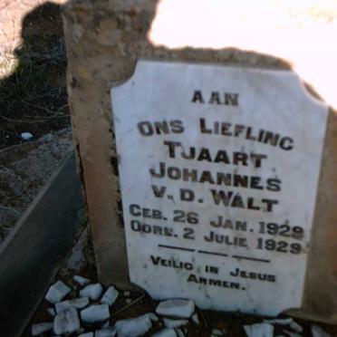 WALT Tjaart Johannes, v.d. 1929-1929
