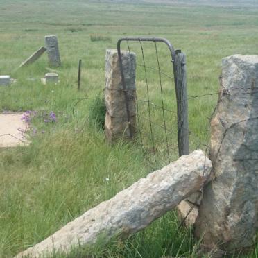 2. Overview / Oorsig