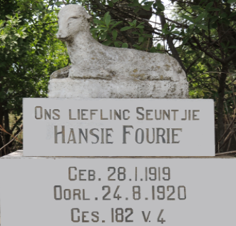 Free State, REITZ district, Hooggelegen 427, farm cemetery
