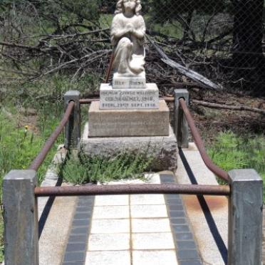 ? Willempie 1918-1918