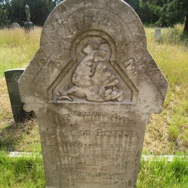 PLESSIS J.P.J., du 1893-1911 _1