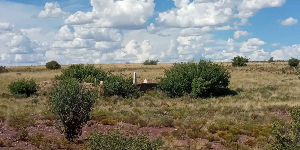 2. Overview / Oorsig