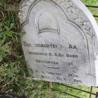 BEER Hardwic C.S., de -1881
