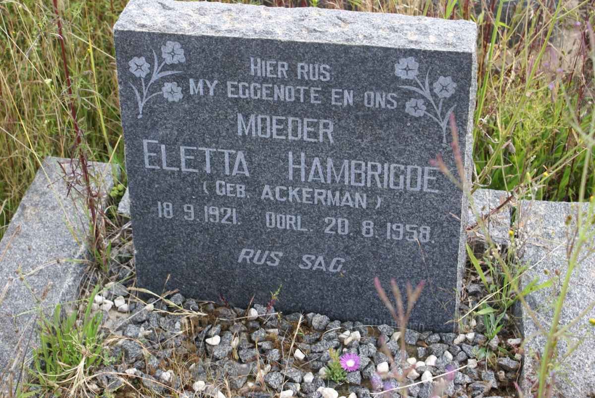HAMBRIGDE Eletta nee ACKERMAN 1921-1958