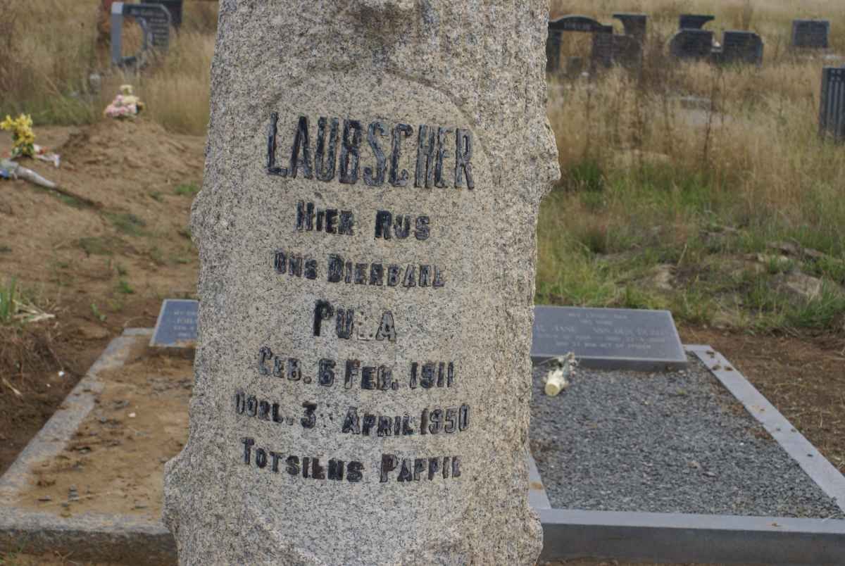 LAUBSCHER Pu?a 1911-1950