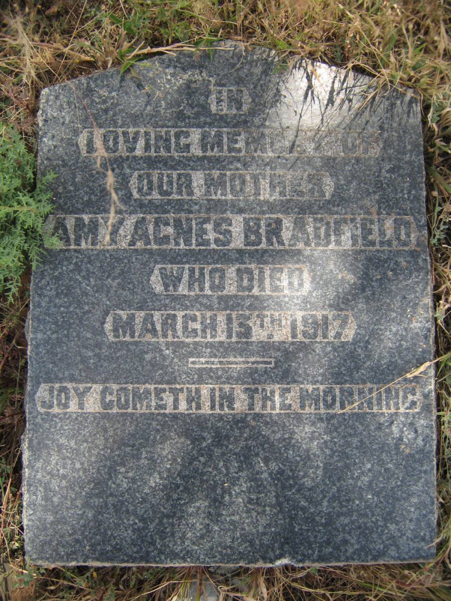 BRADFIELD Amy Agnes -1917