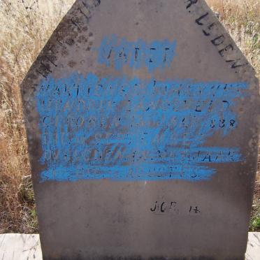 LANGEVELD Marthinus Johannes Hendrik 1838-1917