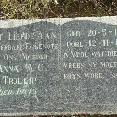 TROLLIP Anna A.C. nee DICKS 1889-1947