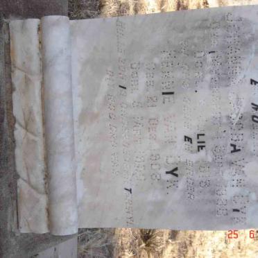 DYK Johanna Jacoba, van nee MYNHARDT 1888-1913 :: VAN DYK Hennie 1908-1930