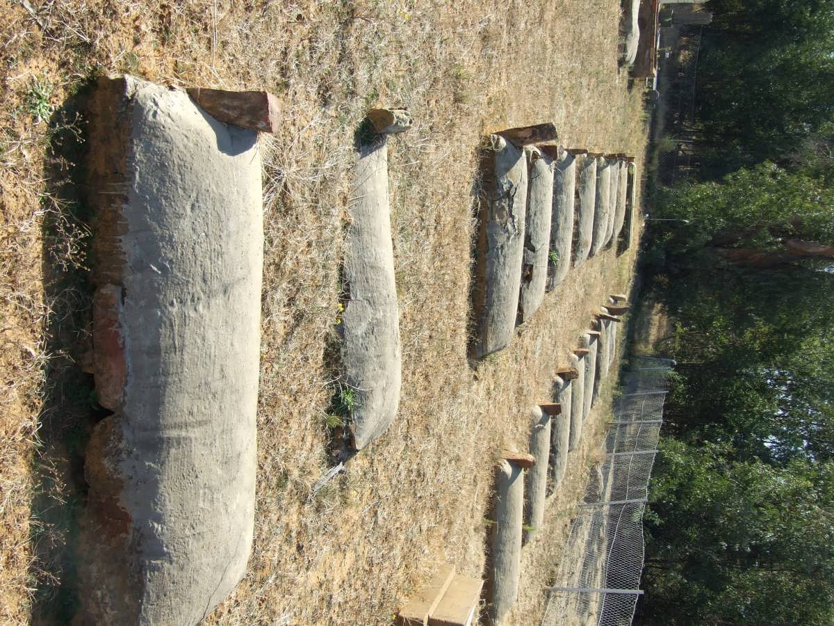5. Overview on 18 unmarked graves of English soldiers who fell during the Anglo Boer War 1899-1902