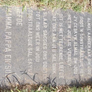 BERGH Christiaan George 1981-1991