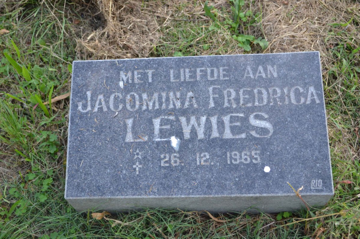 LEWIES Jacomina Fredrica 1965-1965