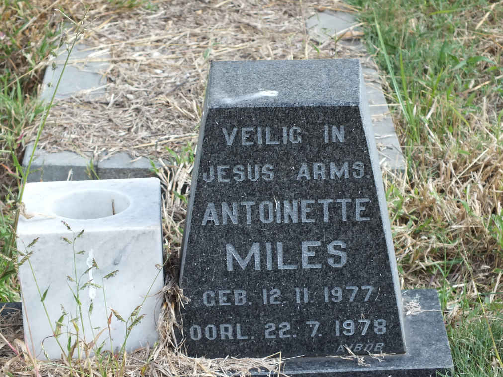 MILES Antoinette 1977-1978