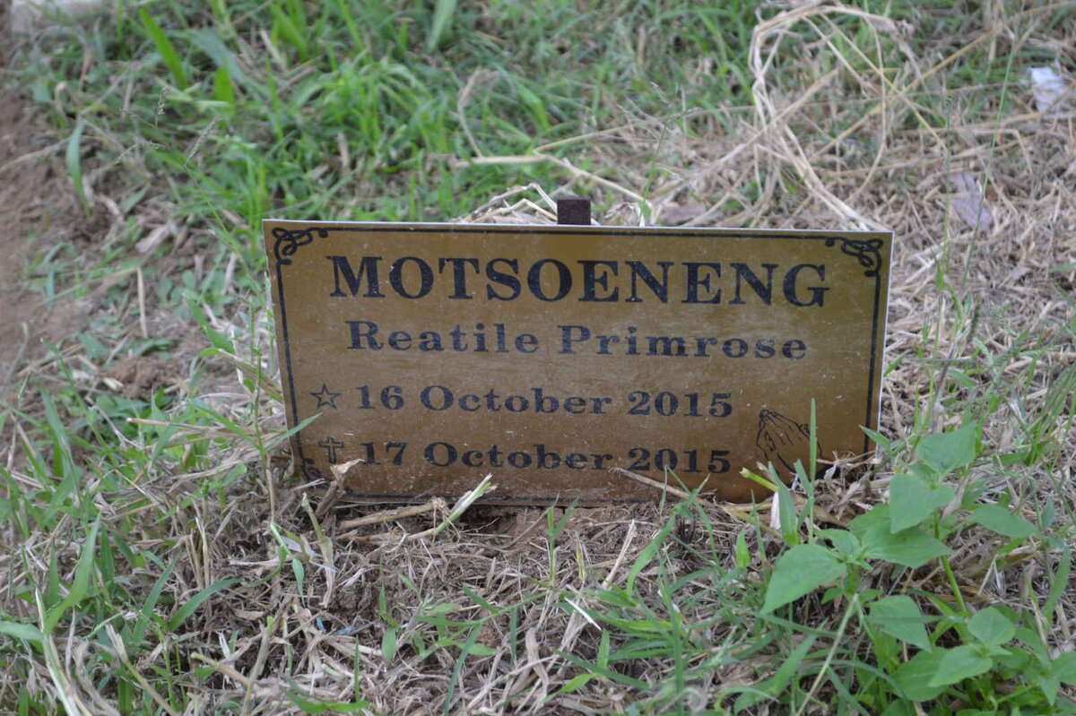 MOTSOENENG Reatile Primrose 2015-2015