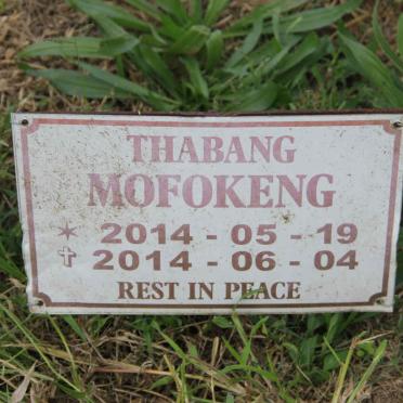MOFOKENG Thabang 2014-2014