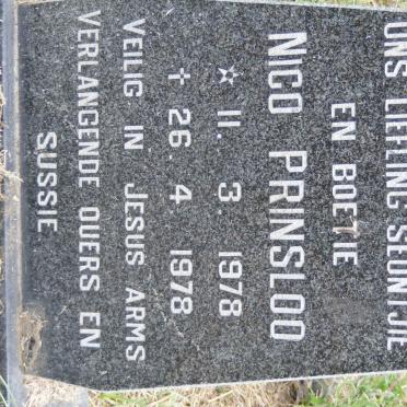 PRINSLOO Nico 1978-1978