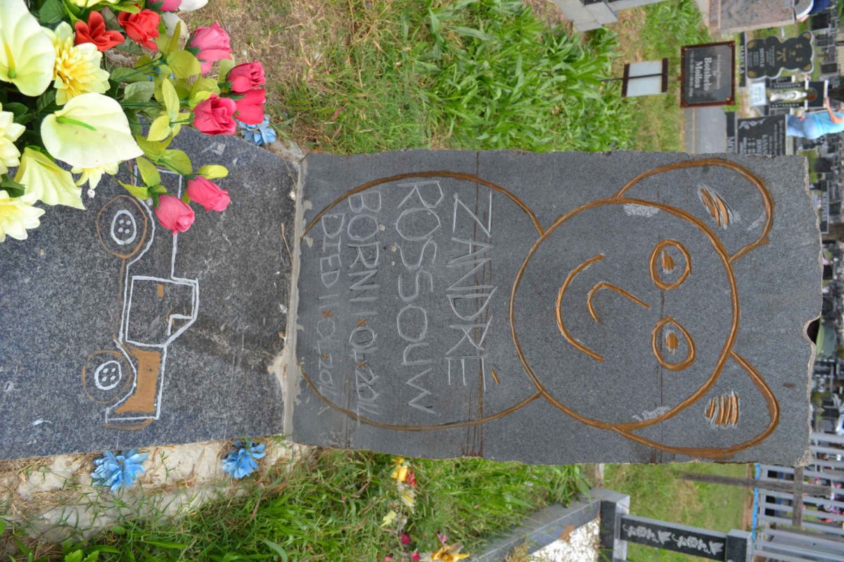 ROSSOUW Zandre 2014-2014