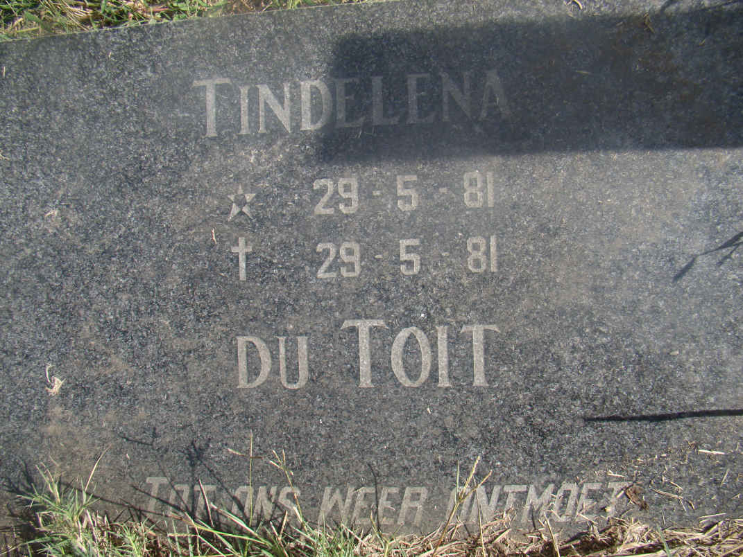 TOIT Tindelena, du 1981-1981