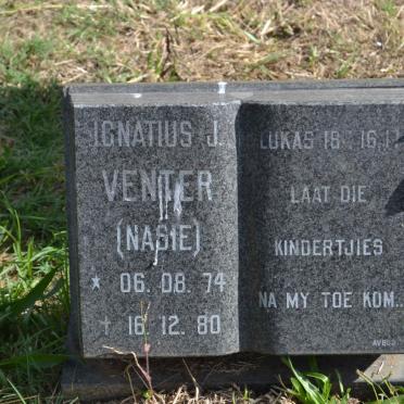 VENTER Ignatius J. 1974-1980