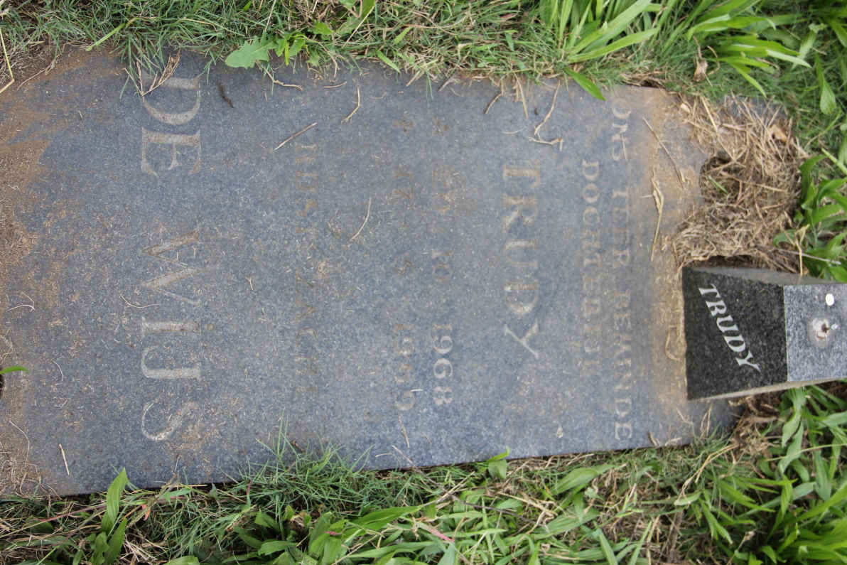 WIJS Trudy, de 1968-1969