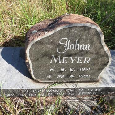 MEYER Johan 1951-1989