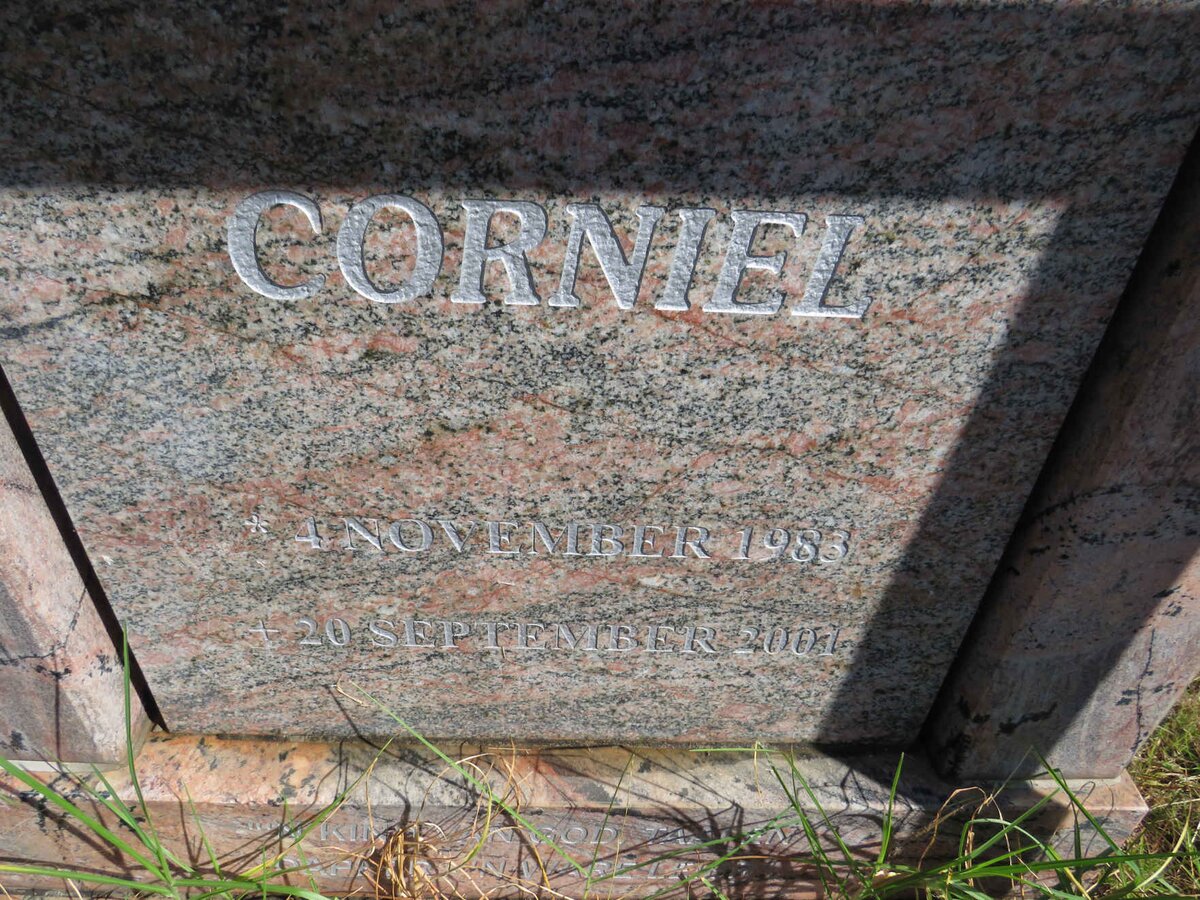 SAAYMAN Corniel 1983-2001 :: SAAYMAN Ilza 1980-2008 :: SAAYMAN C.T. 1952- _2