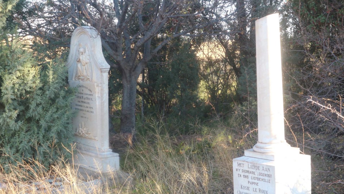 2. Overview / Oorsig