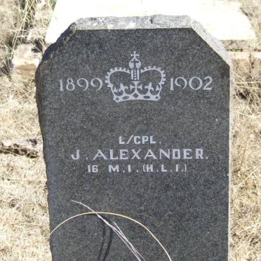 ALEXANDER J.