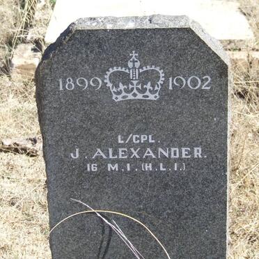 ALEXANDER J.