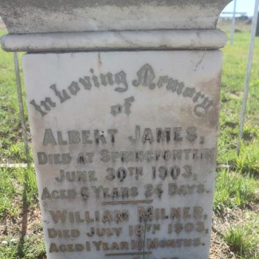 CARRICK Albert James -1903 :: CARRICK Hilda Alice -1903 :: CARRICK William Milner -1903