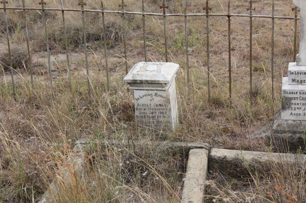 MILLER Albert James -1903